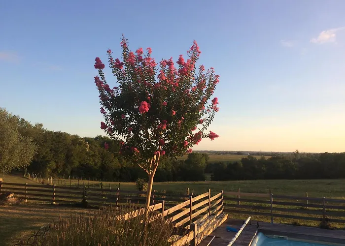 Bed and breakfast Taru Chauray