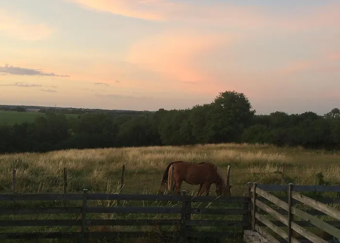 Taru Bed and breakfast